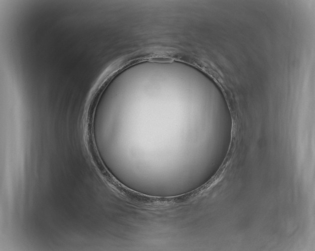 X0000113170101200909040942