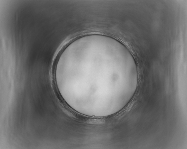 X0000113170102200909040942