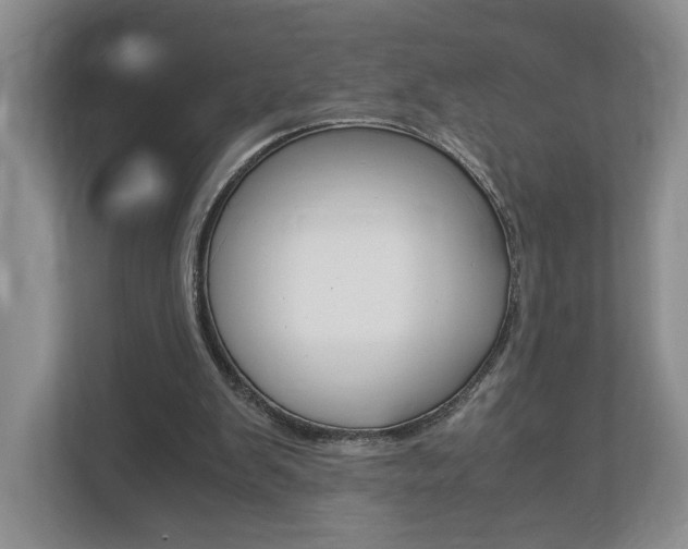 X0000113170103200909040942