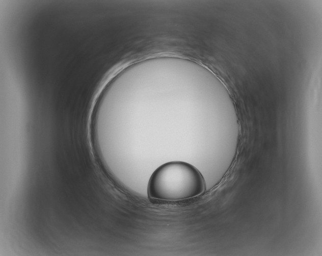 X0000113170104200909040942