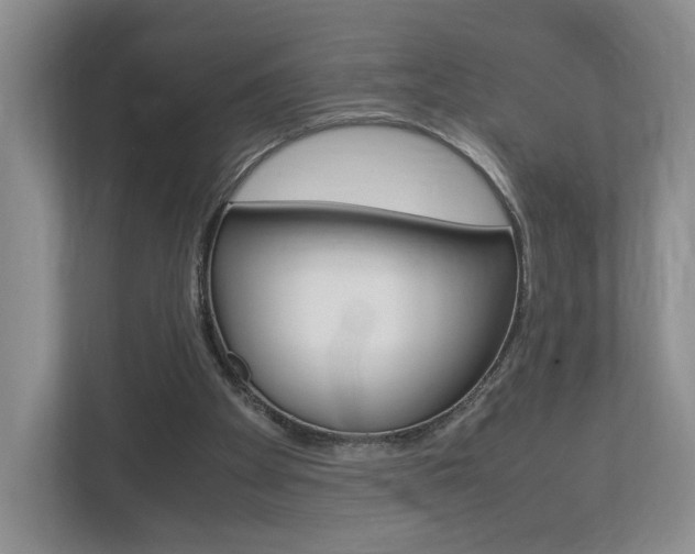X0000113170105200909040942