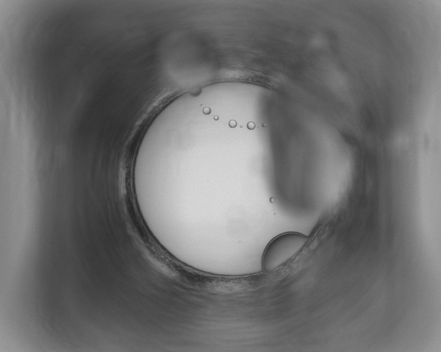 X0000113170106200909040942