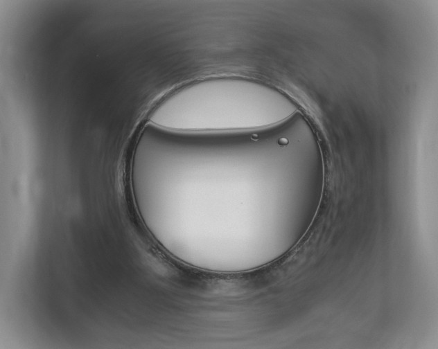 X0000113170107200909040942