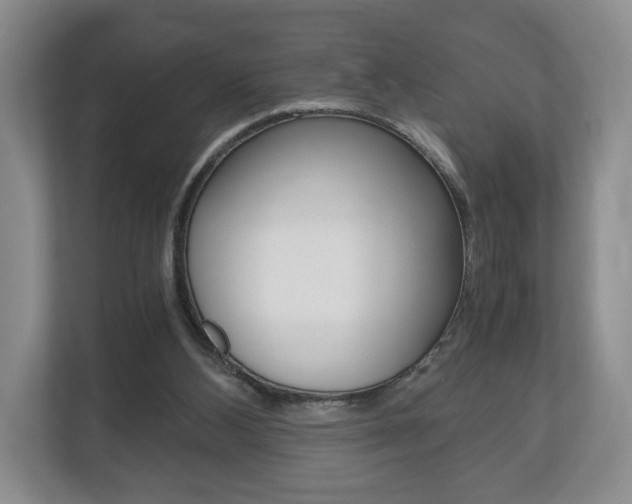 X0000113170108200909040942