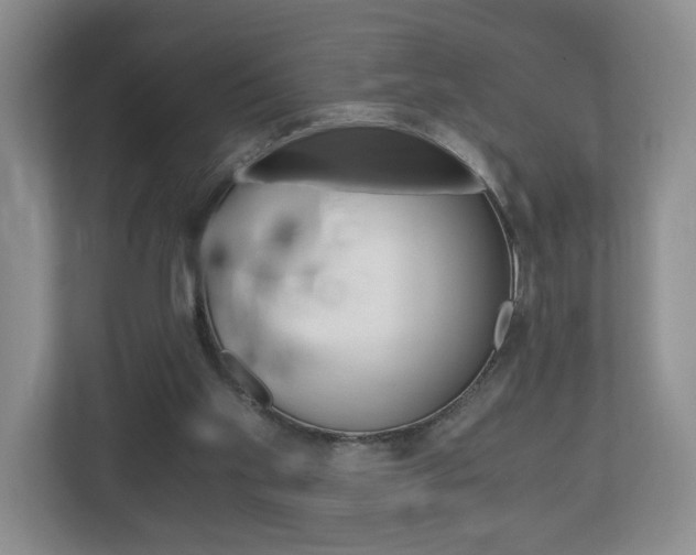X0000113170109200909040942