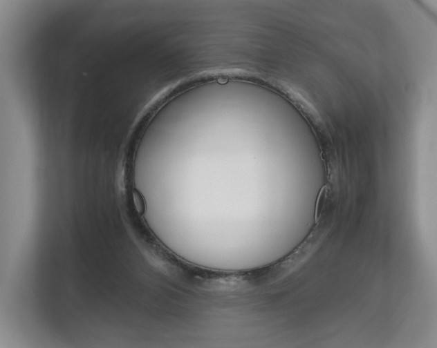 X0000113170112200909040942