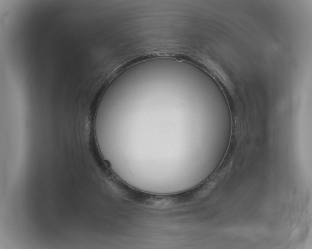 X0000113170113200909040942