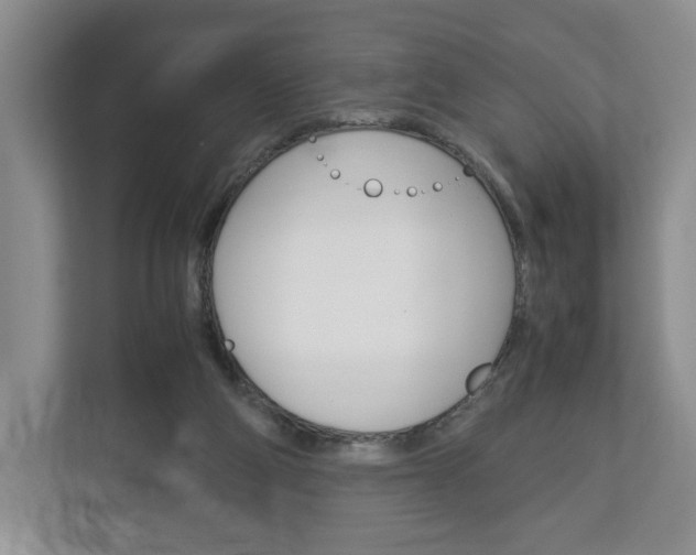 X0000113170114200909040942
