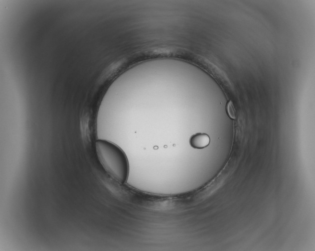 X0000113170116200909040942