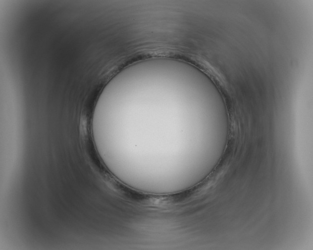 X0000113170117200909040942