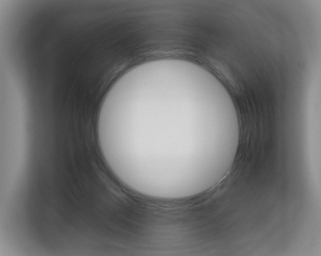 X0000113170120200909040942