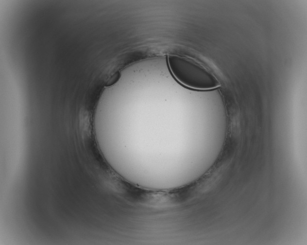 X0000113170121200909040942