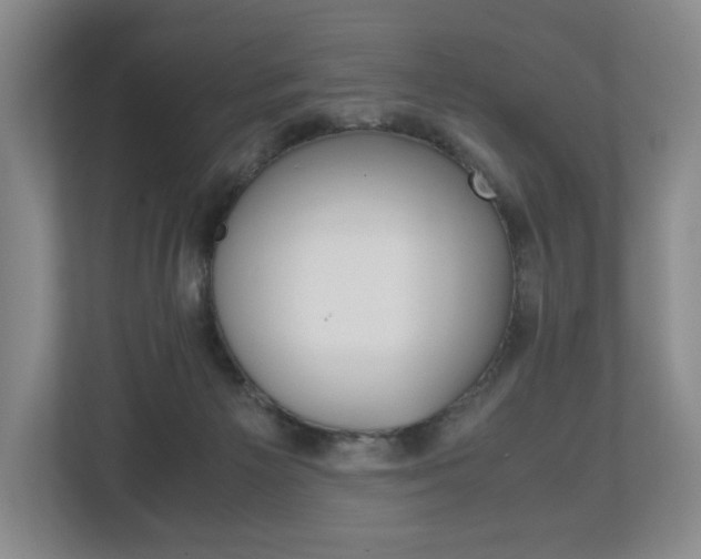 X0000113170125200909040941