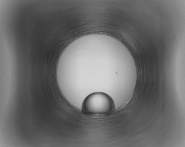 X0000113170128200909040941
