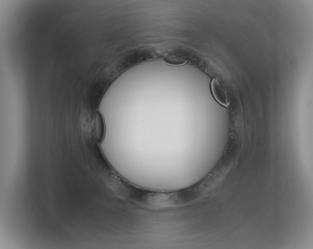 X0000113170129200909040941