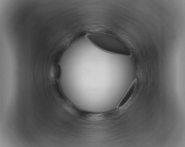 X0000113170132200909040941