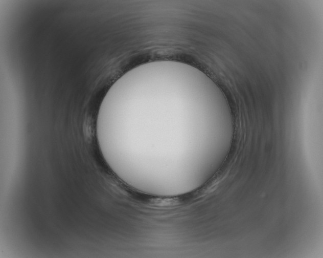 X0000113170135200909040941