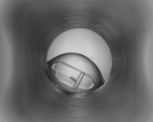 X0000113170136200909040941