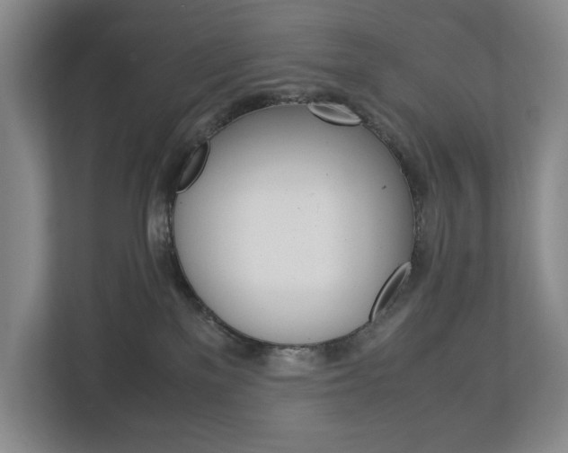 X0000113170137200909040941