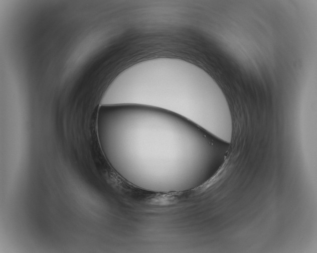 X0000113170140200909040941