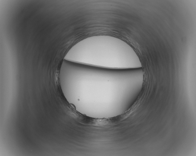 X0000113170141200909040941
