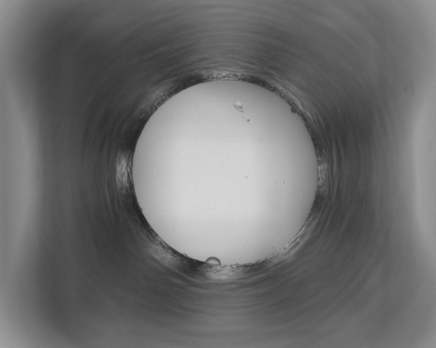X0000113170142200909040941