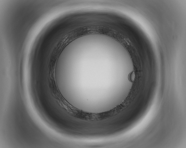 X0000113170143200909040941