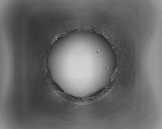 X0000113170144200909040941