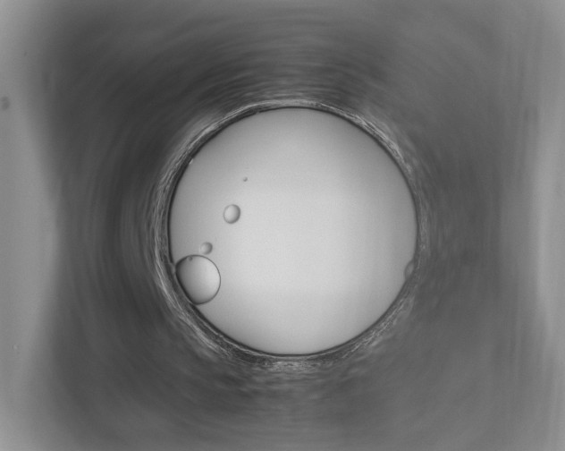 X0000113170145200909040941