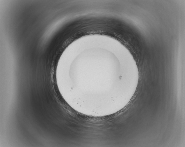 X0000113170146200909040941