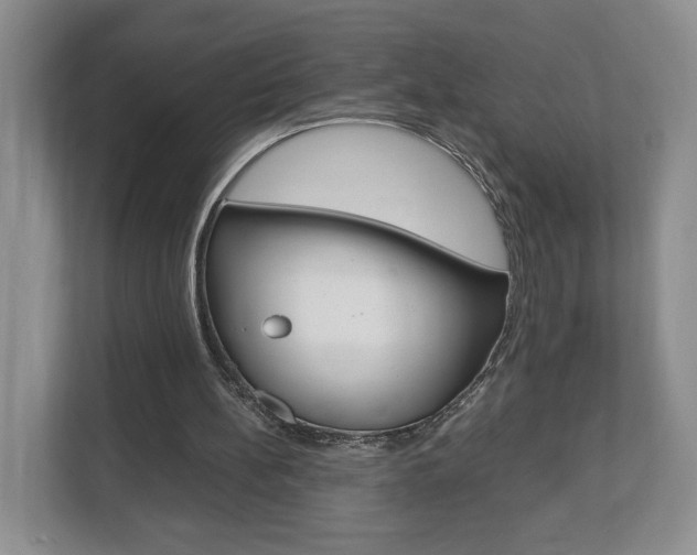 X0000113170148200909040941
