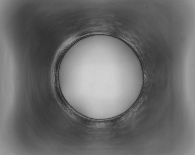 X0000113170149200909040941
