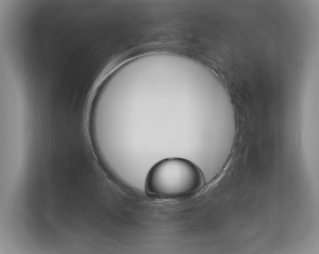 X0000113170150200909040941