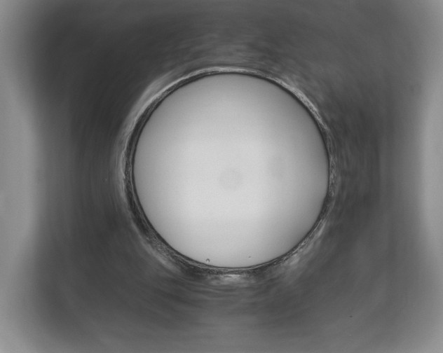 X0000113170151200909040941