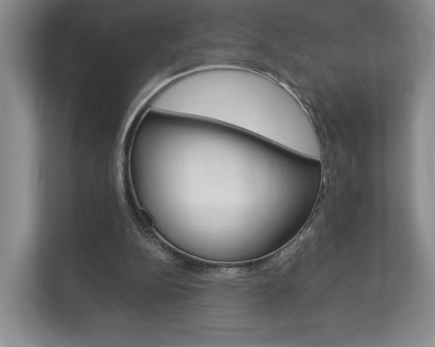 X0000113170152200909040941