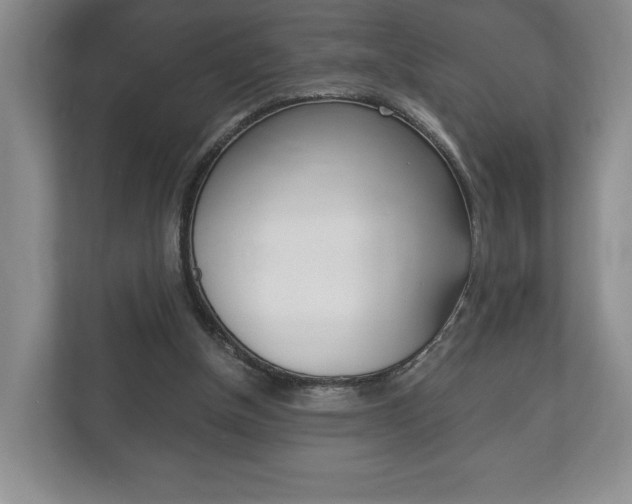 X0000113170154200909040941