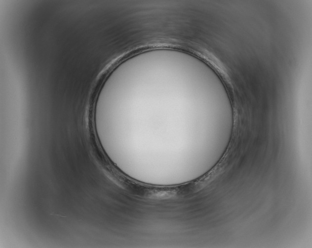 X0000113170155200909040941
