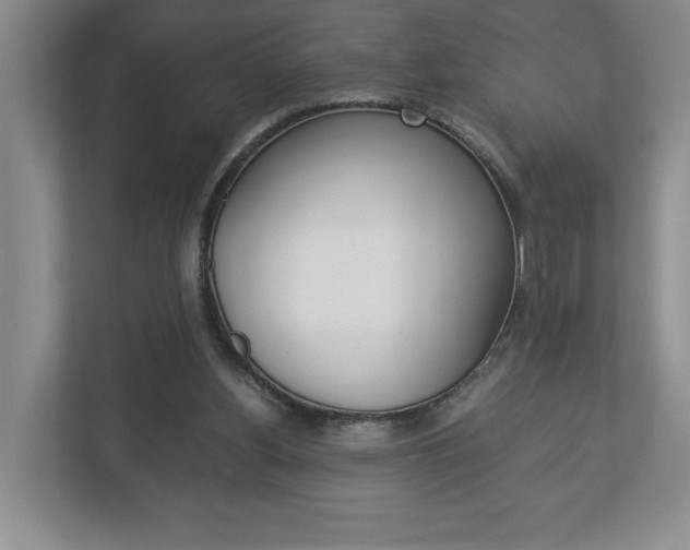 X0000113170156200909040941