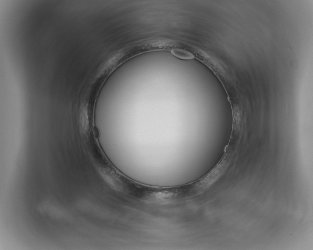 X0000113170158200909040941