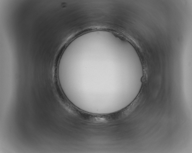 X0000113170159200909040941
