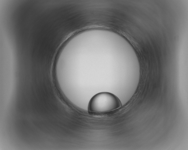 X0000113170160200909040941