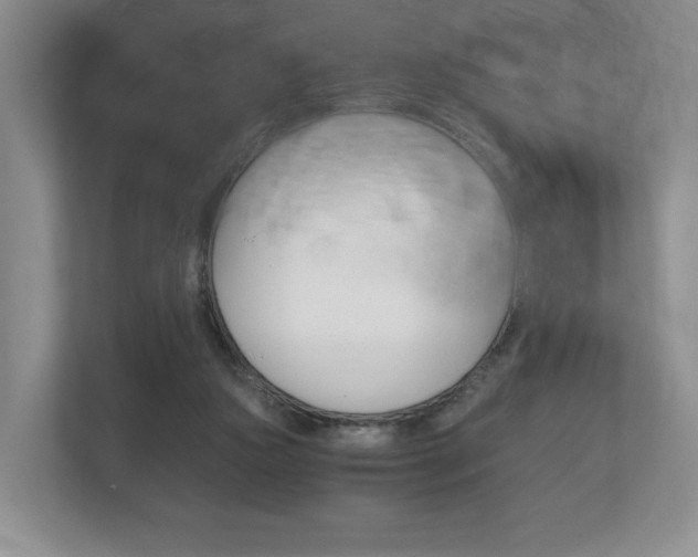 X0000113170161200909040941