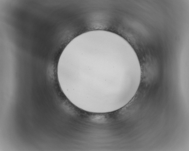 X0000113170162200909040941