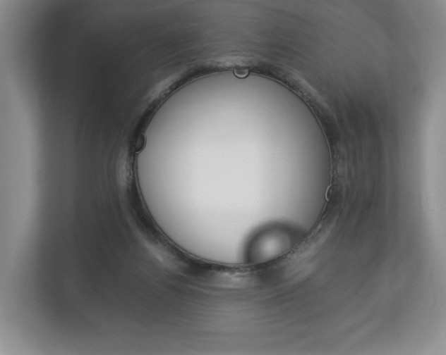 X0000113170164200909040941
