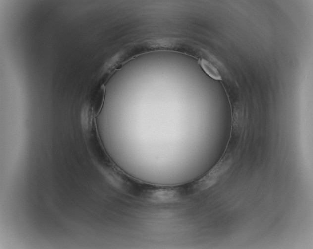 X0000113170168200909040941