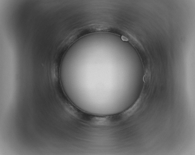 X0000113170170200909040941