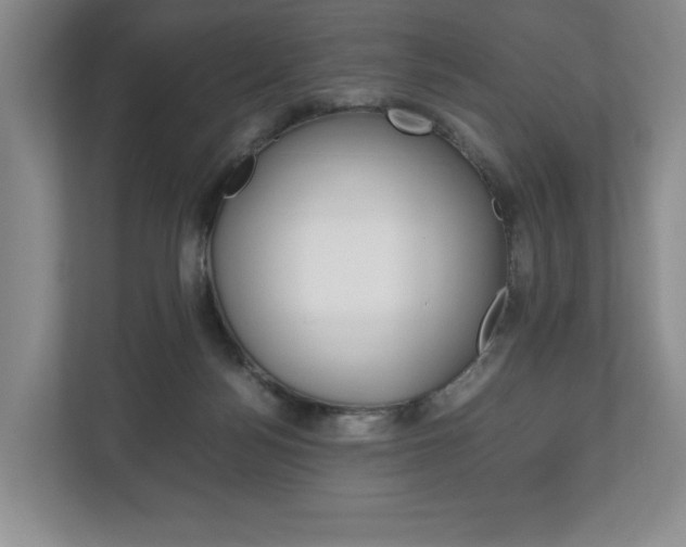 X0000113170172200909040941