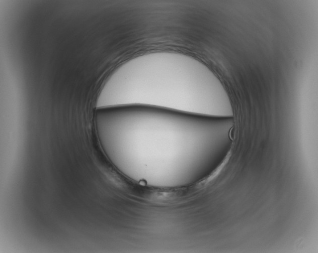 X0000113170174200909040941