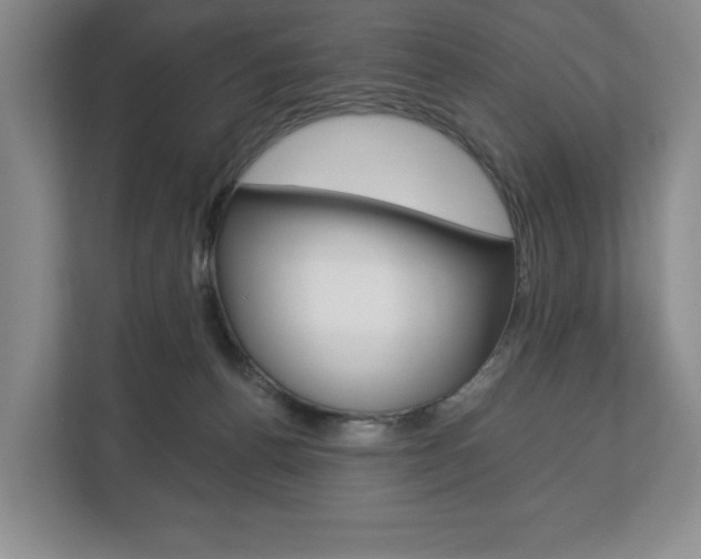 X0000113170176200909040941