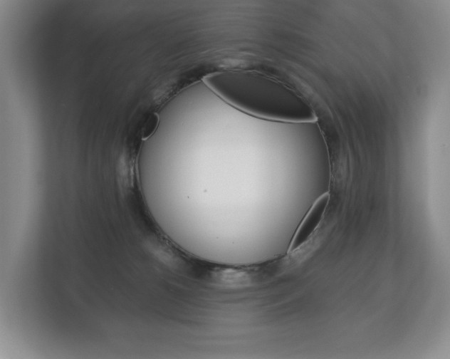 X0000113170180200909040941